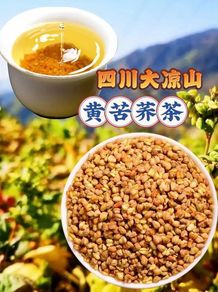 产自四川大凉山的黄苦荞茶养生茶,功效怎么样你可以网